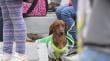 Osorno: Dog Day 2026 contará con exposiciones y productos únicos para mascotas en su tercera versión