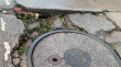 Vecinos denuncian emergencia sanitaria y socavones en calle de Cerro Los Placeres