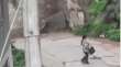 [VIDEO] Derrumbe sepulta vehículo y deja en riesgo vivienda en cerro Yungay de Valparaíso