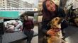 [VIDEO] Naya Fácil dona alimento a perros rescatados de Quilpué y hace un llamado contra el abandono