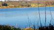 Lluvias devolvieron el agua y los cisnes a la Laguna El Peral