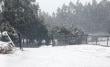 Tras la lluvia La Araucanía ahora enfrente nieve y bajas temperaturas
