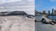 Sernapesca interpone denuncias por muerte de ballena jorobada y ataques a lobos marinos en Antofagasta
