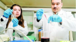Investigadores PUCV transforman sangre de cerdo en ingredientes de alto valor para la industria alimentaria