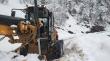 Despejan vías por caída de nieve en Alto Biobío y Antuco