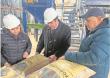 Llaman a la calma y aseguran que no existiría un “quiebre de stock” de pellet