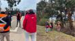 Zapallar: detectan más de 50 árboles con riesgo de caída en rutas E-462 y F-30