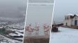 Nevazones en el poblado de Machuca revelan inéditas postales de fenómeno climático en Provincia El Loa