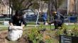 Plaza O'Higgins de Valparaíso cuenta con nueva jardinera: se sumaron cerca de 200 plantas