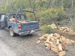 PDI detiene a dos personas por robo de madera desde el Parque Alerce Costero