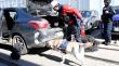 Con cinco personas detenidas culminó operativo en el puerto de Valparaíso