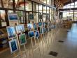 Escolares de Máfil promueven Los Ríos con fotografías