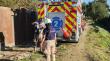 Despliegan operativo para rescatar a perro atrapado en islote del río Aconcagua en Quillota
