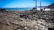 [Fotos] Así quedó caleta Coloso después de la activación de quebradas por las fuertes lluvias