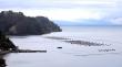Frutillar abandonó mesa por nulo avance en el retiro de los centros de cultivo de salmones del Lago Llanquihue
