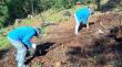 Inician restauración con especies nativas en el Parque Metropolitano Cerro Caracol de Concepción