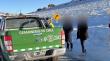 Familia quedó atrapada por hielo en ruta cordillerana: Carabineros los auxilió y conductor fue infraccionado por incumplir prohibición de tránsito