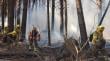 Conaf abrió casi 600 cupos laborales para la temporada de incendios en la Región de Valparaíso