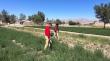 Comisión Nacional de Riego evaluó en terreno la realidad de la agricultura del desierto y quebradas en Tarapacá