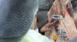 Inician fiscalizaciones de Fiestas Patrias en Biobío: programa alcanza 83 inspecciones y más de 3 toneladas de decomisos