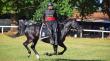 Cuadro Negro del Ejército se presentará en Quillota por el Día del Patrimonio de la Defensa Nacional
