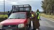 Intensifican fiscalización al transporte de animales en carreteras del Biobío