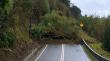 Cortada se encuentra la ruta entre Ralún y Cochamó por derrumbe desde un cerro
