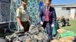 Incautan más de 737 kilos de marihuana almacenados en una vivienda de Calama: un sujeto quedó en prisión preventiva
