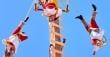 'Los Voladores de Papantla' de México inaugurarán Identidades Festival 2026 en Antofagasta