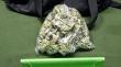 Con más de 320 gramos de marihuana fue detenido sujeto que estaba hospitalizado en Ancud