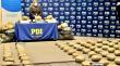 Descubren cerca de San Pedro de Atacama una bodega clandestina con 636 kilos de cannabis oculta en el desierto