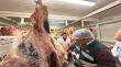 Fiscalizan establecimientos de ventas de carnes en el centro de Iquique previo a las Fiestas Patrias