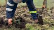 Agricultores de Dalcahue participaron en capacitación sobre agroforestería y cortinas cortaviento en Tenaún