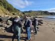 Detienen a una persona por extraer locos en la costa de Valdivia