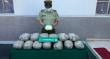 Carabineros decomisa más de 21 kilos de droga y detiene a conductor extranjero con orden vigente en Arica