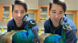 Diputado Olivares genera polémica tras exhibir a su pavo real con las alas cortadas
