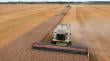 Producción de harina de primera en Ñuble acumula caída interanual de 11,8%