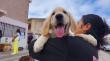 Antofagasta actualiza ordenanza de mascotas tras 15 años y fija multas de hasta 5 UTM