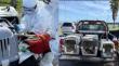 Tres pingüinos de Magallanes rescatados en la Región de Valparaíso fueron trasladados a Coquimbo