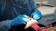 Dalcahue avanzará en la postulación de clínica dental móvil para sectores rurales