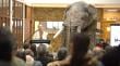 Museo Histórico de Puerto Montt superó las 47 mil visitas en su primer año de vida