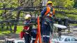 San Carlos es la primera comuna de Ñuble en implementar el Plan Nacional de Ordenamiento y Retiro de Cables