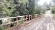 Más de 150 puentes de madera de la Provincia de Osorno presentan un grave deterioro