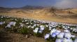 SMA refuerza protección del Desierto Florido en Antofagasta y refuerza medidas para proteger las áreas en floración