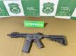 En Mehuín detuvieron a un sujeto que mantenía réplica de armamento