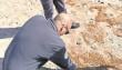 Contaminación: Shoa descarta residuos fecales en la playa Chinchorro y determina que corresponde a harina de pescado
