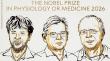 Entregan Nobel de Medicina a Deisseroth,Hegemann y Nagel por sus descubrimientos en optogenética