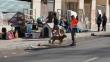 70 mascotas, entre perros y gatos, fueron catastradas en el desalojo de Villa El Salar de Antofagasta
