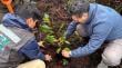 Comunidad Coihuín de Compu recuperó 75 hectáreas de bosque nativo plantando más de 16 mil especies