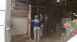 PDI desbarata matadero clandestino en Gorbea y decomisa más de 2 toneladas de carne